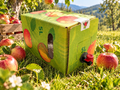 Regionaler Apfelsaft aus der Surselva